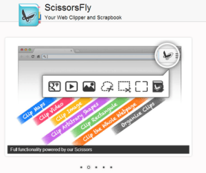 scissorsfly